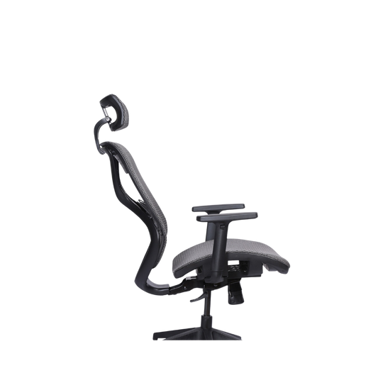 Omni Pro HB Executive Ergonomic Chair Mesh Seat