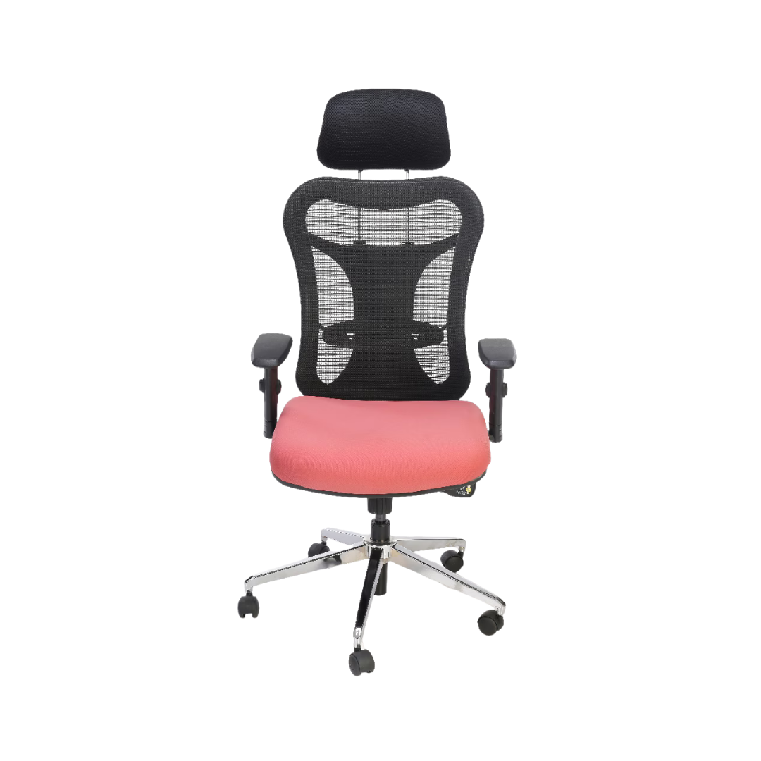 Nova HB Ergonomic Premium Executive Chair