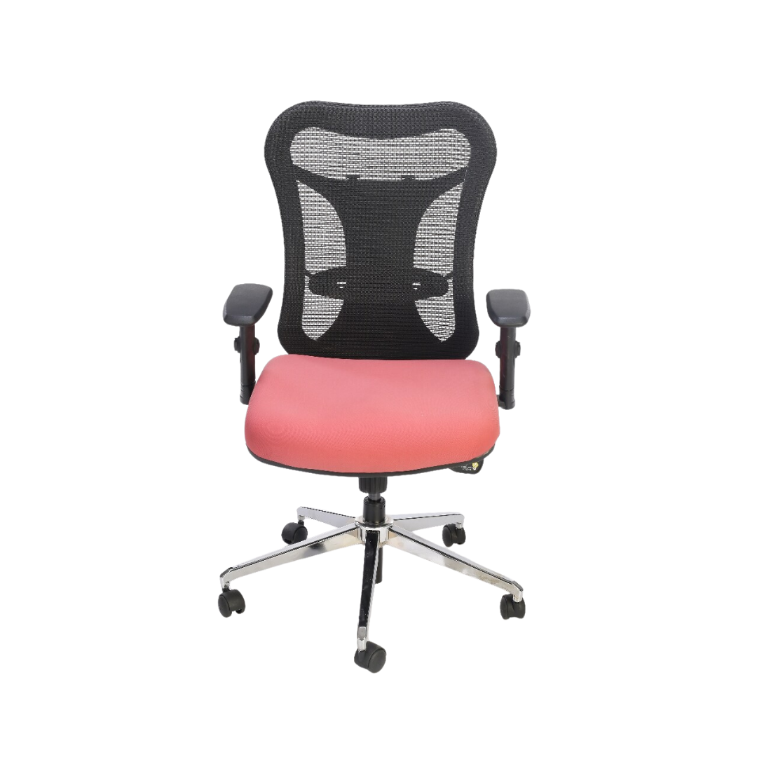 Nova MB Executive Ergonomic Chair