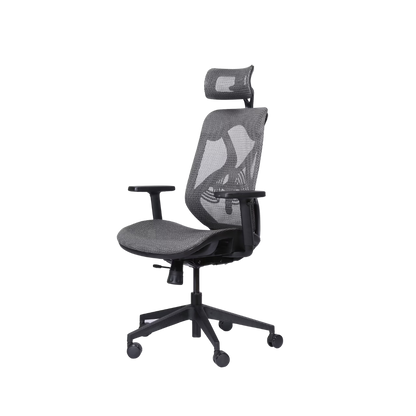 Omni Pro HB Executive Ergonomic Chair Mesh Seat