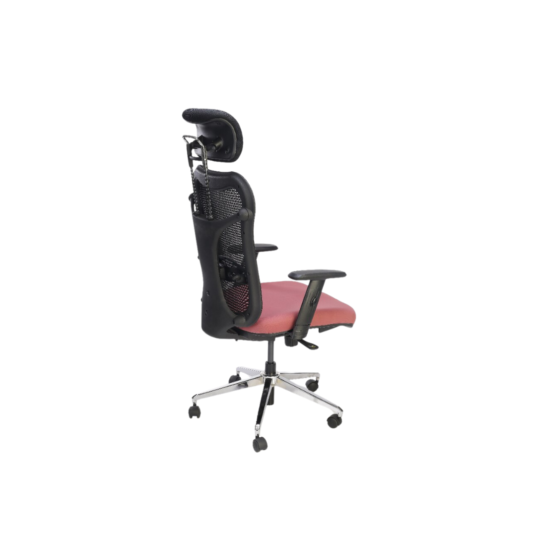 Nova HB Ergonomic Premium Executive Chair